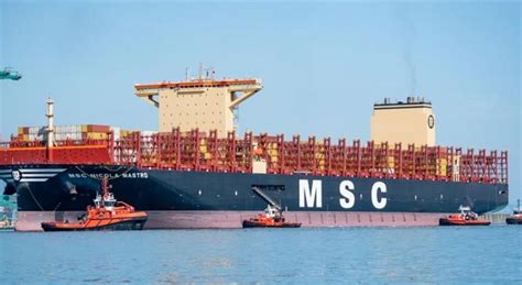 Msc Launches More Services As New Markets Emerge In India India