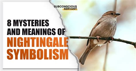 Nightingale Symbolism 8 Fascinating Meanings Explored Subconscious