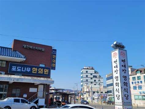 영천 육회 맛집 편대장영화식당 본점 찐좋아하는집 네이버 블로그