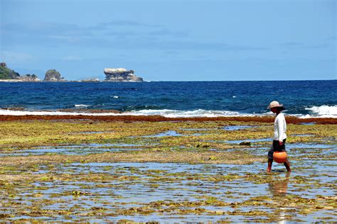 Uncharted Philippines | Babuyan Islands Expedition