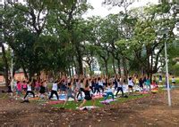 Aulas Gratuitas De Yoga E Plantas Medicinais No Jardim Nico Ano