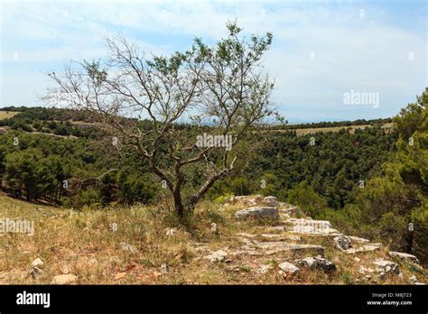 Parco Nazionale Dellalta Murgia Hi Res Stock Photography And Images Alamy