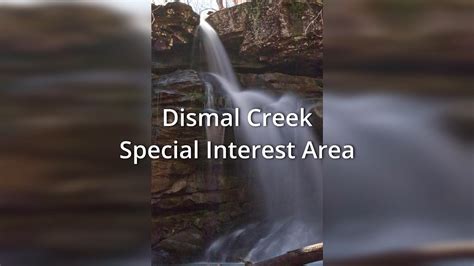 Exploring The Dismal Creek Special Interest Area Ozark National