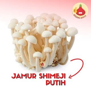 Jual Jamur Shimeji Putih Segar 1Bks Bawangbagus Shopee Indonesia