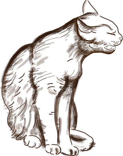 Free Images Cat Sketch Drawing Illustration Chat Digitalart