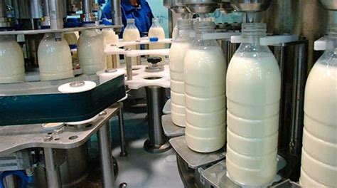 Milk production drops 3 percent - Commercial Farmers' Union of Zimbabwe