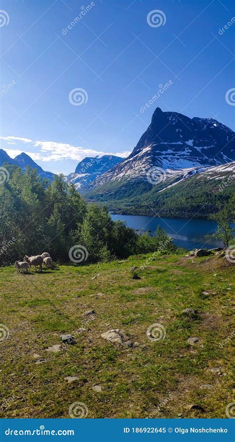 Mountain Valley Innerdalen In Norway Stock Image Image Of Valley