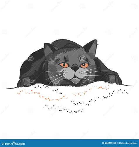 Gray Cat with Orange Eyes on White Background with Dots Stock Vector