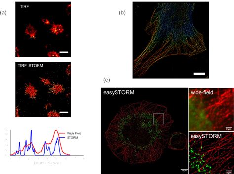 Super Resolved Microscopy Research Groups Imperial College London