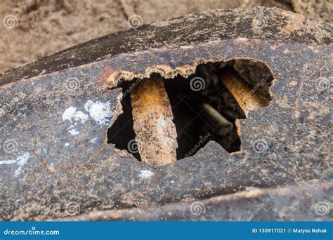 Broken Shell Of A Dead Leatherback Sea Turtle Dermochelys Coriacea At A ...