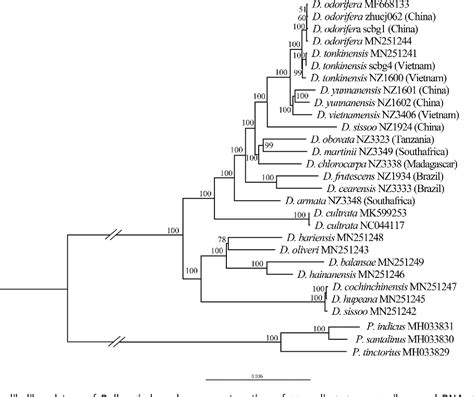 Figure 3 From Comparative Analysis Of Complete Plastid Genome Reveals