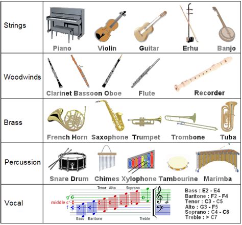 Different types of musical instruments