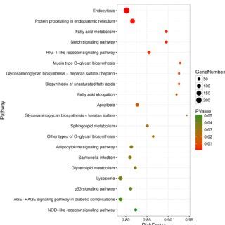 Top Kegg Pathways Enriched By Predicted Target Genes From Sde