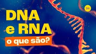 Diferen A Entre Dna E Rna