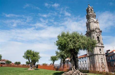 Combo Porto City Half Day Tour Aveiro Half Day Tour