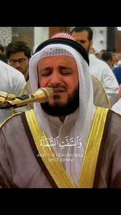 💛 Heart Soothing Quran 💛 By Sheikh Mishary Rashid Al Afasy Misharyrashidalfasy Youtube