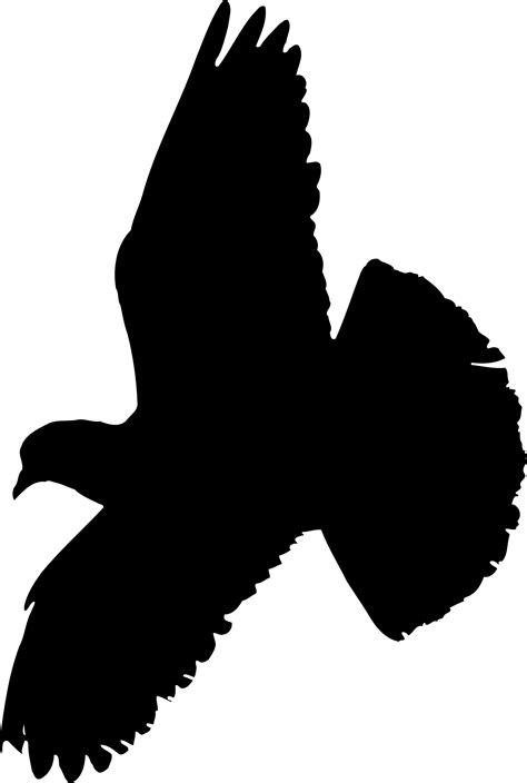 Clipart - Pigeon (silhouette)