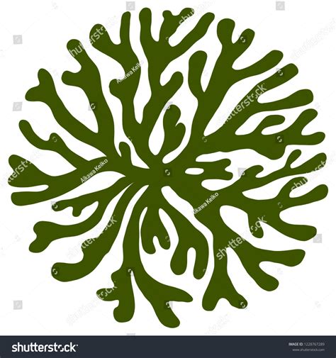 42,664 Algae Vector Stock Vectors, Images & Vector Art | Shutterstock