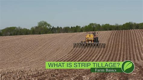 Farm Basics 1073 What Is Strip Tillage Air Date 10 28 18 Youtube