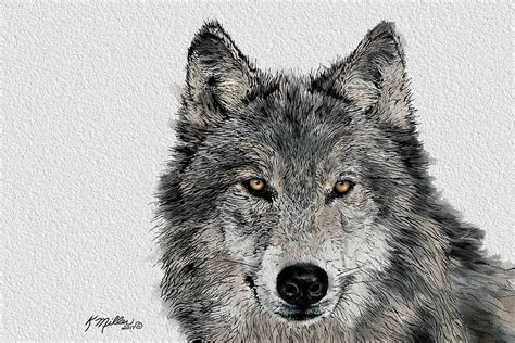 Grey Wolf Painting