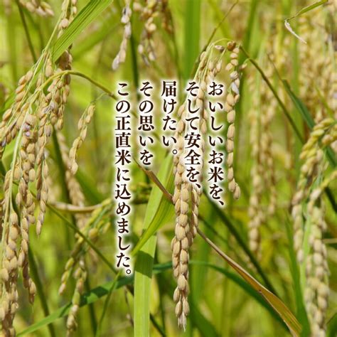 【楽天市場】【ふるさと納税】【令和6年産】【新米】正直米 18kg【こしひかり コシヒカリ 特別栽培米 農家直販 おいしい 高品質 5000