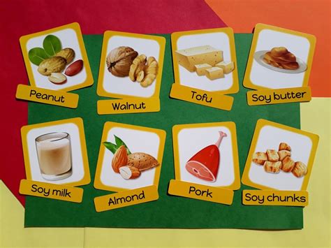 Protein Food Flashcard Food Groupmontessori Etsy