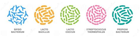 Probiotics In A Circle Good Bacteria And Microorganisms