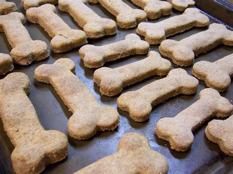 Pamper Your Pooch With These 5 Homemade Vegan Dog Treats