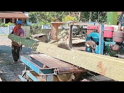 Serkel Saw Sawing Process Of 6m Hibiscus Wood Made Of Blocks For