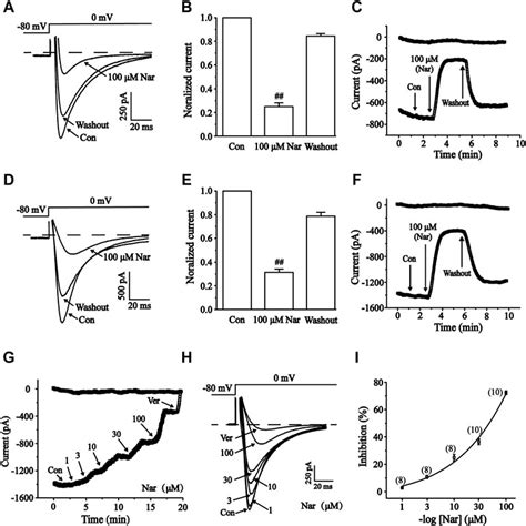 Frontiers The Cardioprotective Effects And Mechanisms Of Naringenin