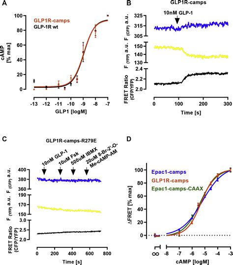 Receptor Associated Independent Camp Nanodomains Mediate Spatiotemporal