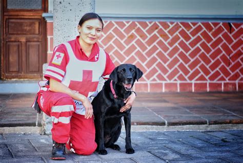 Obtienen Binomios De Cruz Roja Certificaci N Internacional