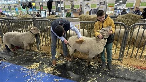 REPORTAGE Salon de lagriculture Comment les éleveurs préparent le