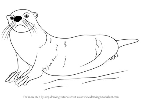 Otter Outline Drawing at PaintingValley.com | Explore collection of ...