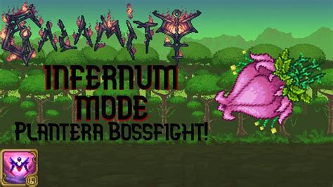 Terraria Calamity Mod Infernum Mode Plantera Bossfight YouTube