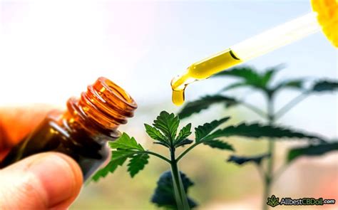 How To Use Cbd Oil Learn How To Take Cbd Oil Properly