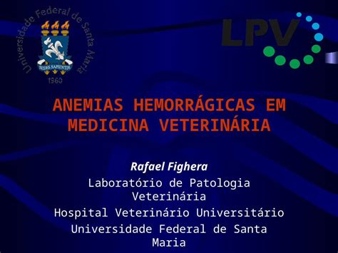 Ppt Anemias Hemorr Gicas Em Medicina Veterin Ria Rafael Fighera