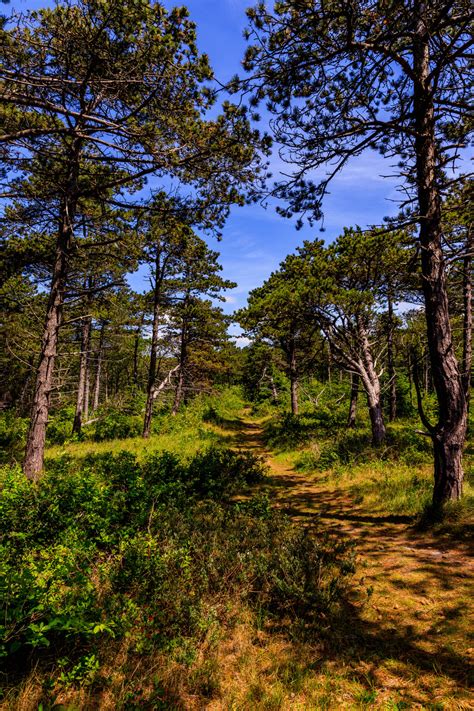 Texel hiking trials 1-5/? - Streekpad 4, Texel,... - nature-hiking