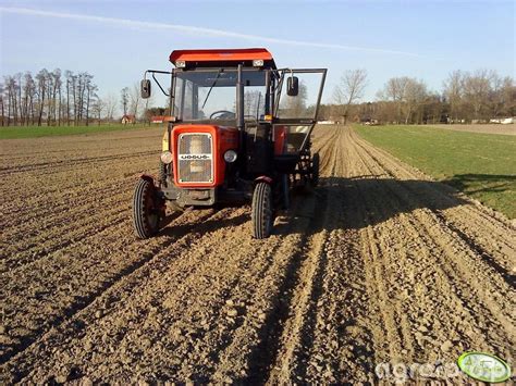 Foto Traktor Ursus C Poznaniak Id Galeria Rolnicza Agrofoto