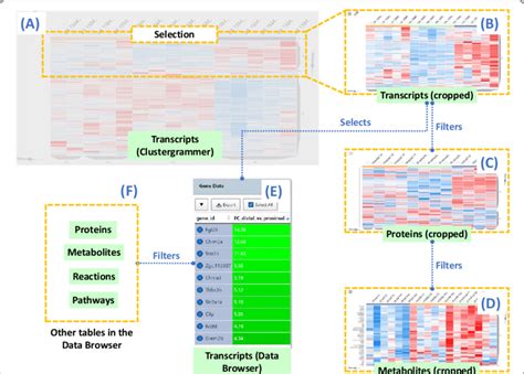 Clustergrammer Integration In GraphOmics A Clustergrammer Displays A