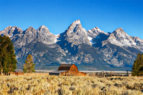 From Wildlife To Scenic Views 8 Of Jackson Hole Attractions