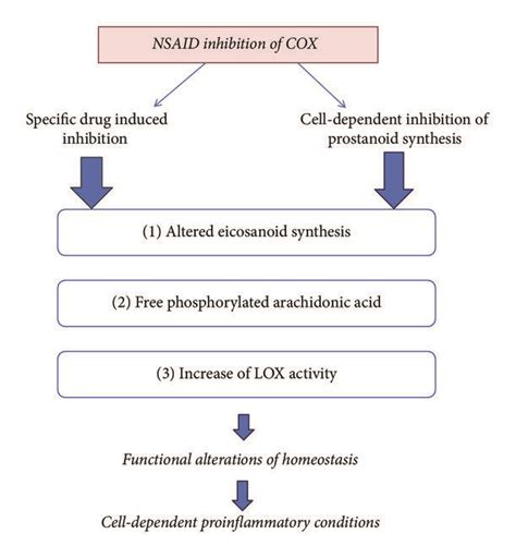 Levels Of Possible Side Effects Of Nsaids 18 Drug And Cell Specific