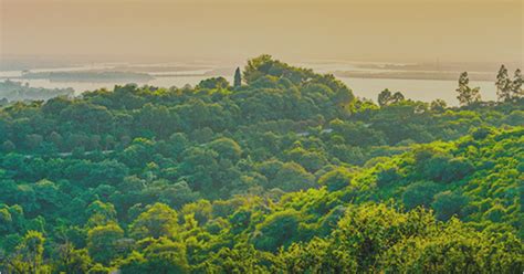 Brasil aprueba cerca de 76 millones dólares en compensación ambiental