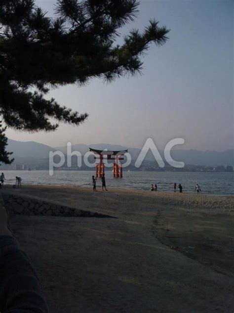 広島厳島神社の鳥居 No 237548｜写真素材なら「写真ac」無料（フリー）ダウンロードok