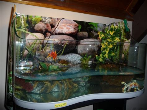 Aquarium Pour Tortue Biloo Net