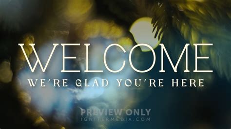 Bright and Beautiful - Welcome - Title Graphics | Timber and Pearl