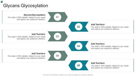 Glycans Glycosylation In Powerpoint And Google Slides Cpb Ppt Powerpoint