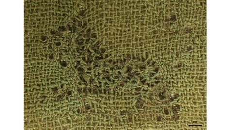 Textiles | ARTEX | Hellenic Centre for Research and Conservation of ...