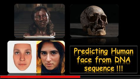 Predicting Human Face From Dna Sequence Youtube