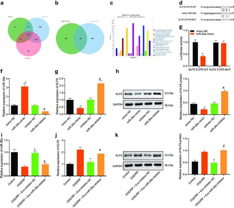 KLF9 Is A Direct Target Gene Of MiR 26a A Venn Diagram Summarizing